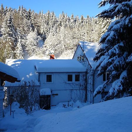 Ferienwohnung Bauer Alter Hammer Шмідефельд-ам-Реннштайґ Екстер'єр фото